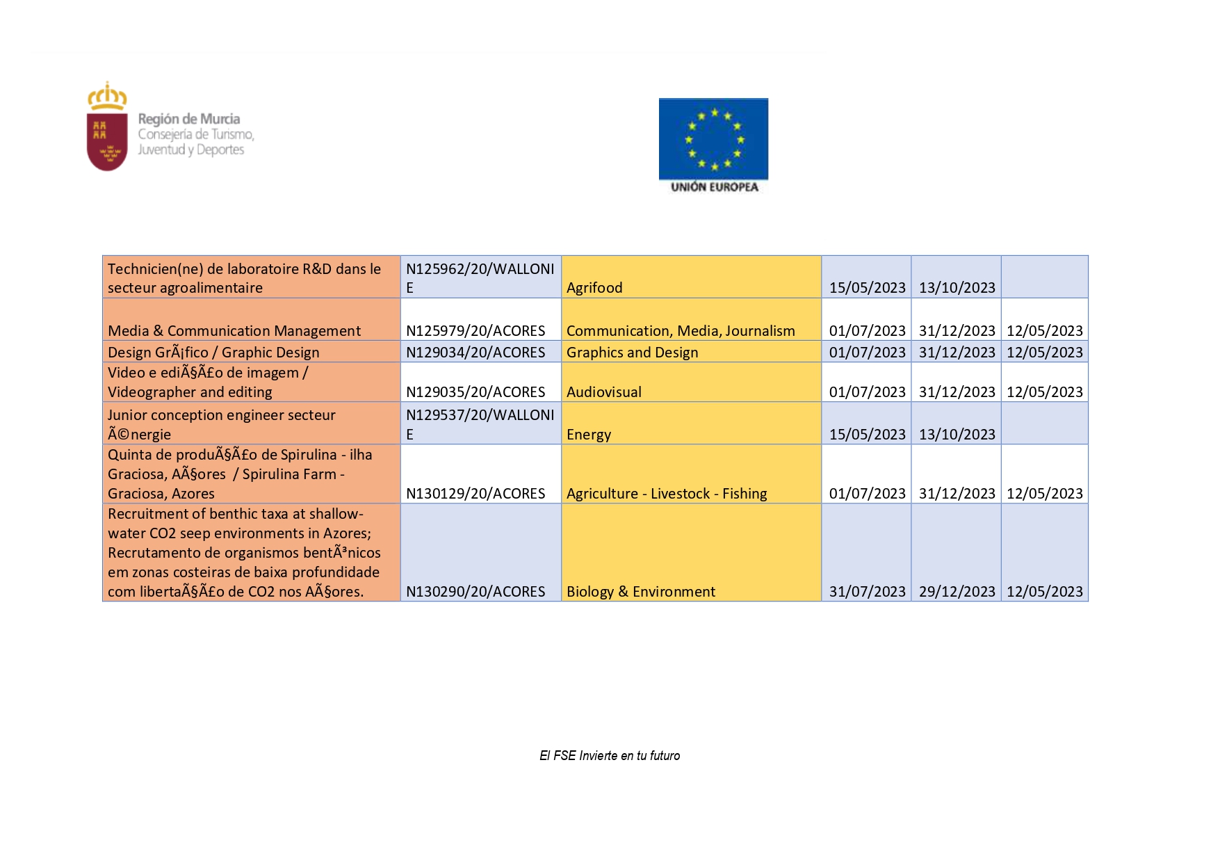 PROGRAMA DE PRÁCTICAS LABORALES REMUNERADAS EN EUROPA (Imagen 9)